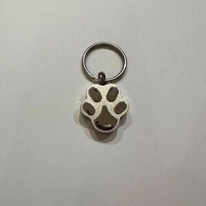 Dog Pet Paw Print Cremation Locket Memorial Urn Keychain Pendant Stainless Steel